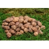 Tigernuts Sèches 5kg