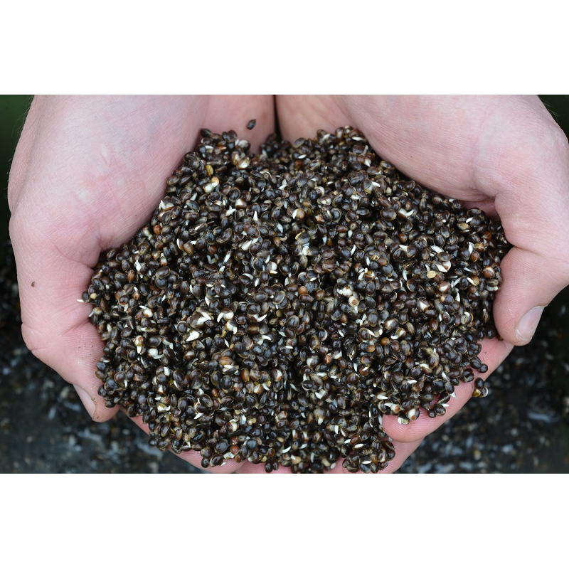 PELLET AMORCAGE CHENEVIS 8mm KINGRAAL